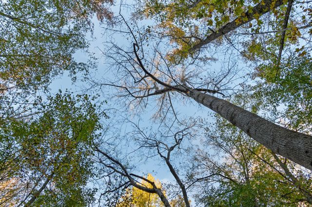 0 Short Creek Rd, Linden, TN 37096