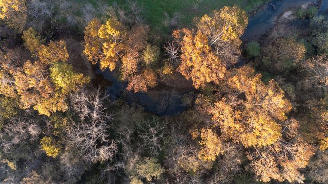 0 Short Creek Rd, Linden, TN 37096