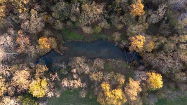 0 Short Creek Rd, Linden, TN 37096