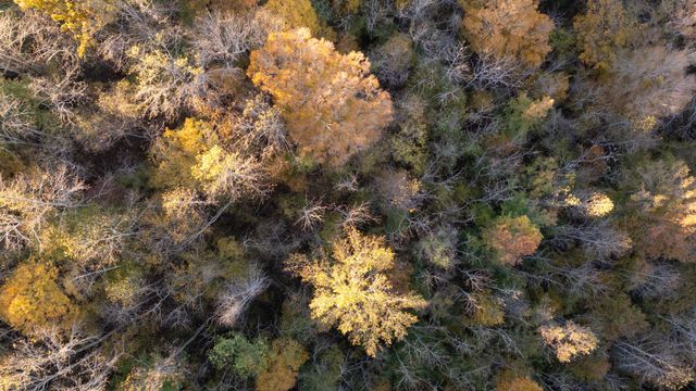 0 Short Creek Rd, Linden, TN 37096