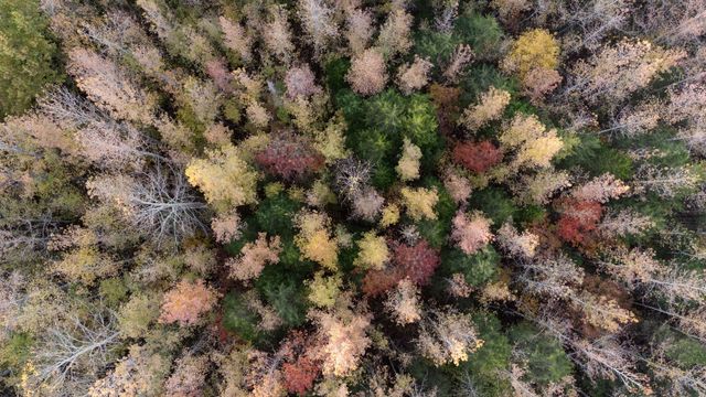 0 Short Creek Rd, Linden, TN 37096