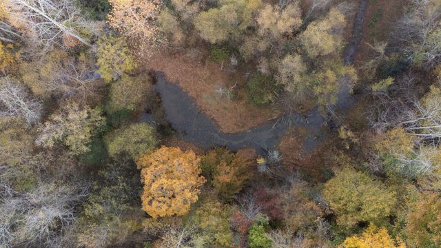 0 Short Creek Rd, Linden, TN 37096