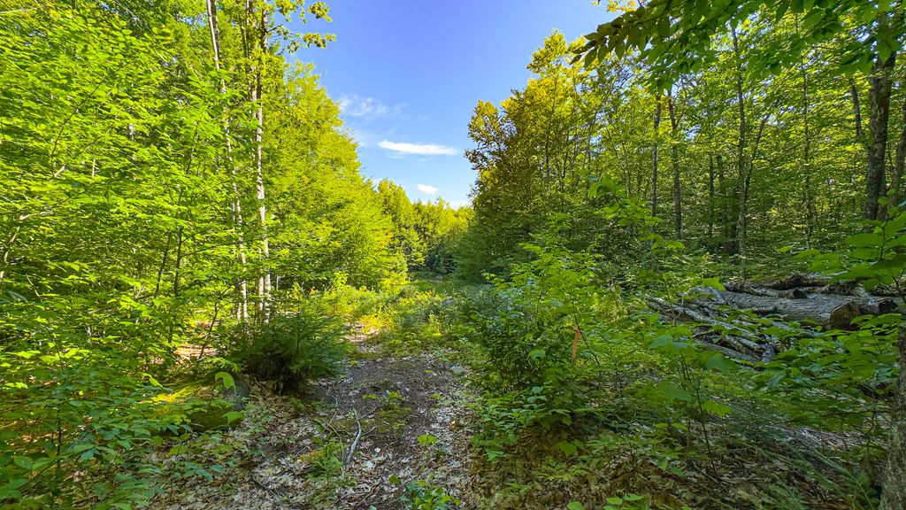 71 Sara's Trail, Bridgton, ME 04009 — photo 4