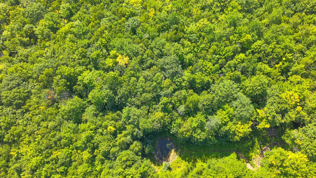 71 Sara's Trail, Bridgton, ME 04009 — photo 5