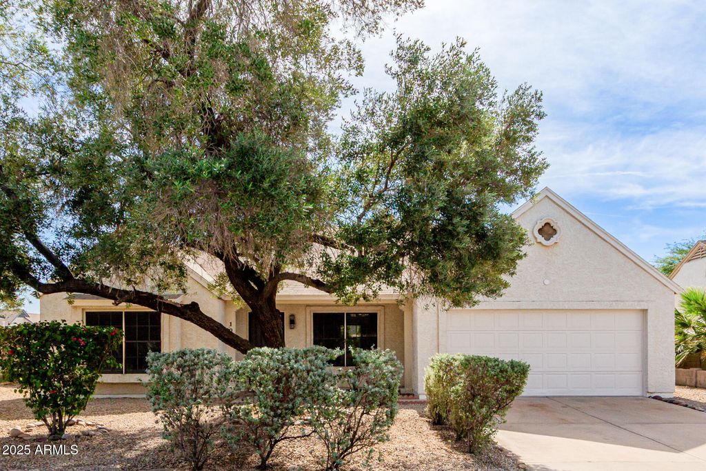 1007 E ORAIBI Drive, Phoenix, AZ 85024