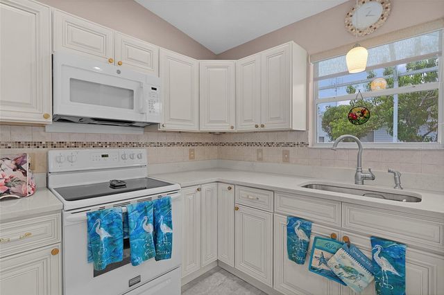 1317 CARVELLO DRIVE, The Villages, FL 32162