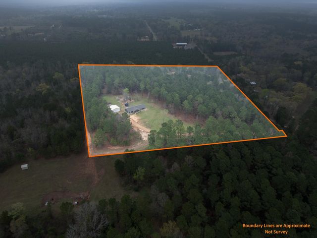 298 Coppedge Smith Rd, Harleton, TX 75651