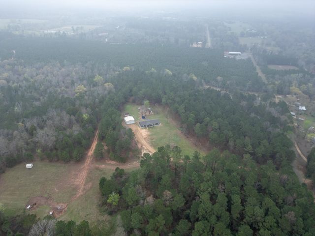 298 Coppedge Smith Rd, Harleton, TX 75651