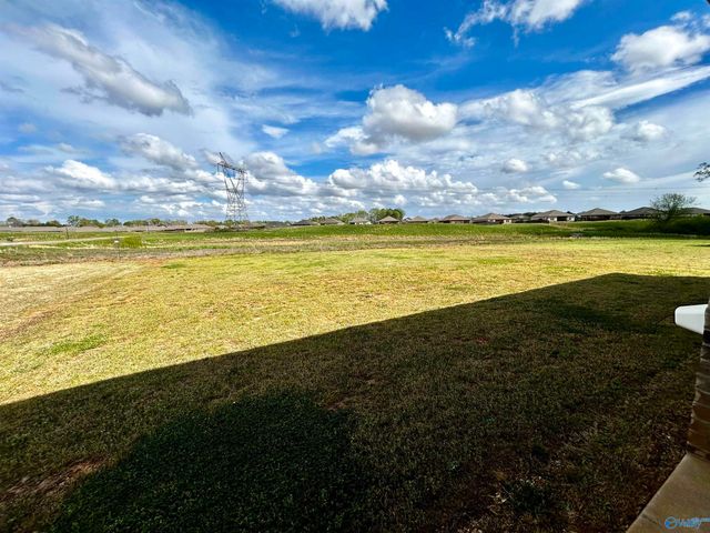 14150 Parliament Court, Athens, AL 35613