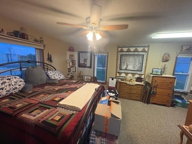 4072 20 Mile Road, Marion Twp, MI 49665