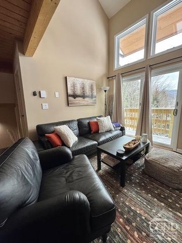 166 Hunter Drive V-5, Hunter, NY 12442