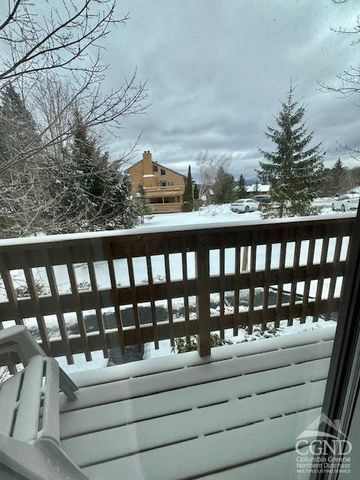 166 Hunter Drive V-5, Hunter, NY 12442