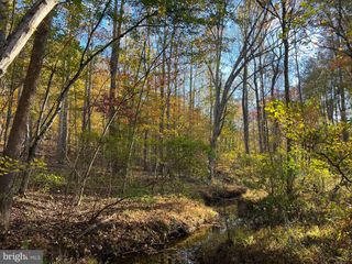 ADA RD, Marshall, VA