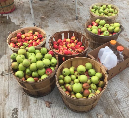 3905 Lakeshore Road, Lexington, MI 48450