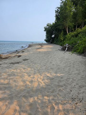 3905 Lakeshore Road, Lexington, MI 48450