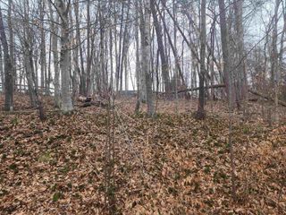 28 OVERLOOK CIR, Palmyra, VA 22963