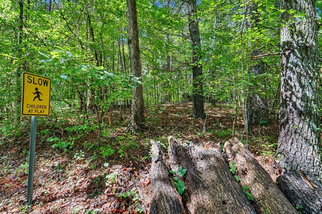 Lot 73 Pinecrest, Young Harris, GA 30582