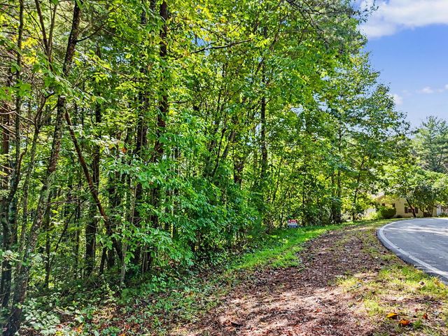 Lot 73 Pinecrest, Young Harris, GA 30582