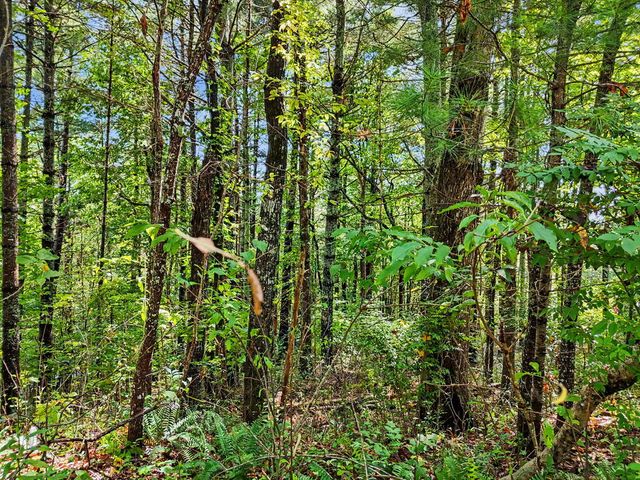 Lot 73 Pinecrest, Young Harris, GA 30582