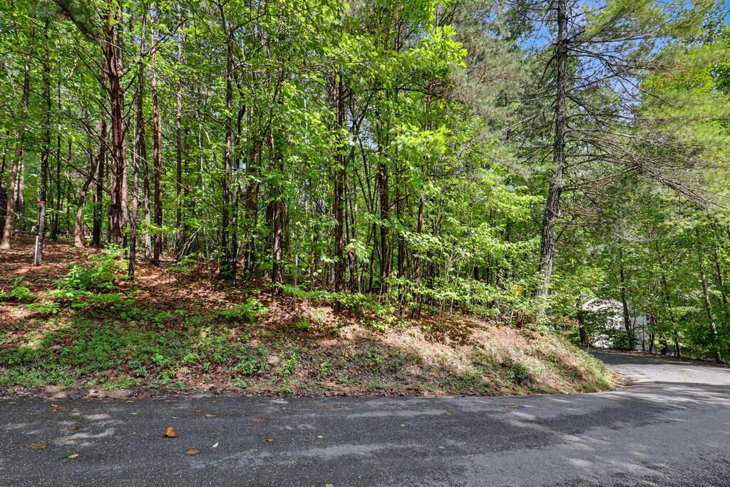 Lot 73 Pinecrest, Young Harris, GA 30582