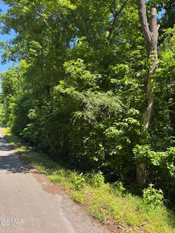 0 Muddy Creek Road, Dandridge, TN 37725