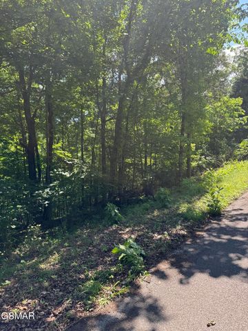 0 Muddy Creek Road, Dandridge, TN 37725