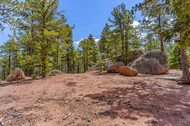 10 Robert Rd, Rye, CO 81069