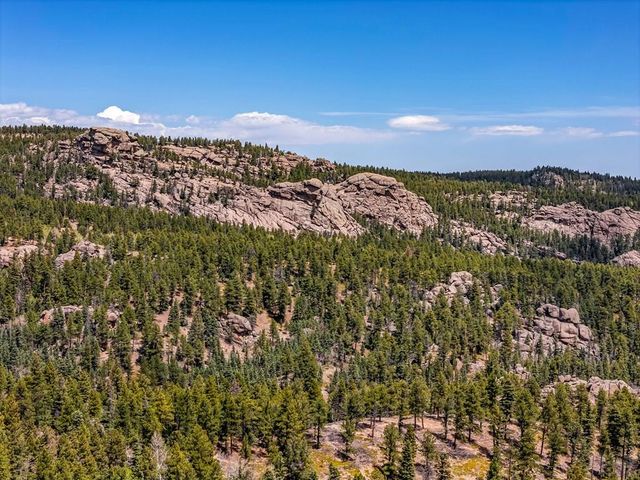10 Robert Rd, Rye, CO 81069