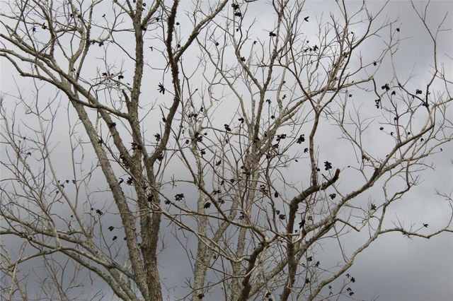 5555 County Road 135 Road, Wharton, TX 77488