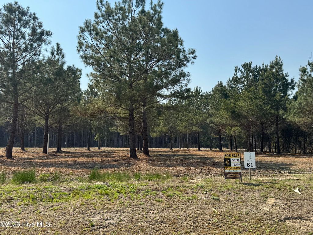 100 Cutter Bay South Street, Stonewall, NC 28583