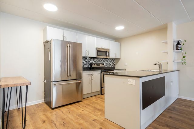 222 N Grove Avenue 2D, Oak Park, IL 60302
