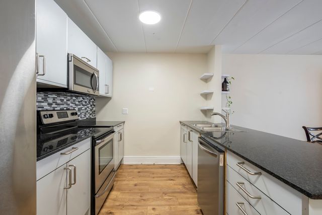 222 N Grove Avenue 2D, Oak Park, IL 60302