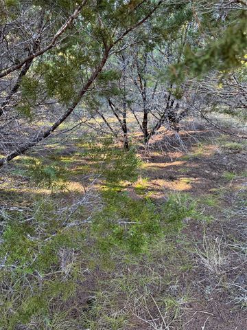43002 Whisperwood Drive, Whitney, TX 76692