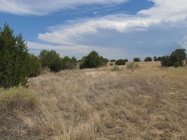 TBD 14th St, Penrose, CO 81240