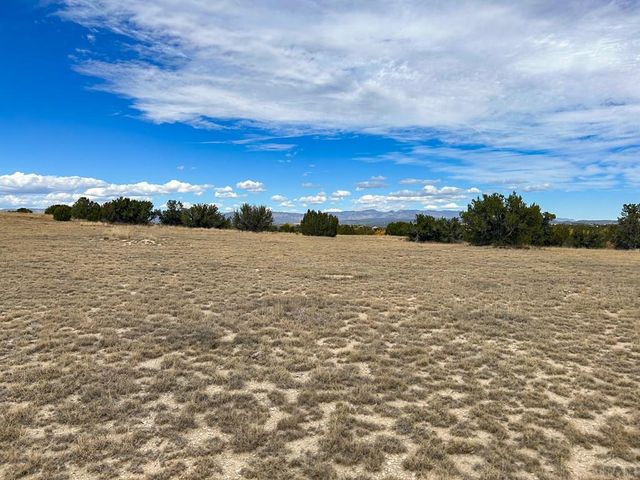 TBD 14th St, Penrose, CO 81240