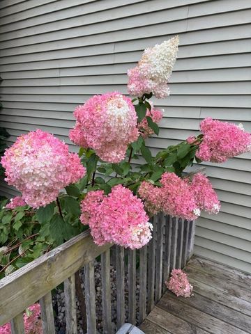 696 W Madison Road, Twin Lake, MI 49457