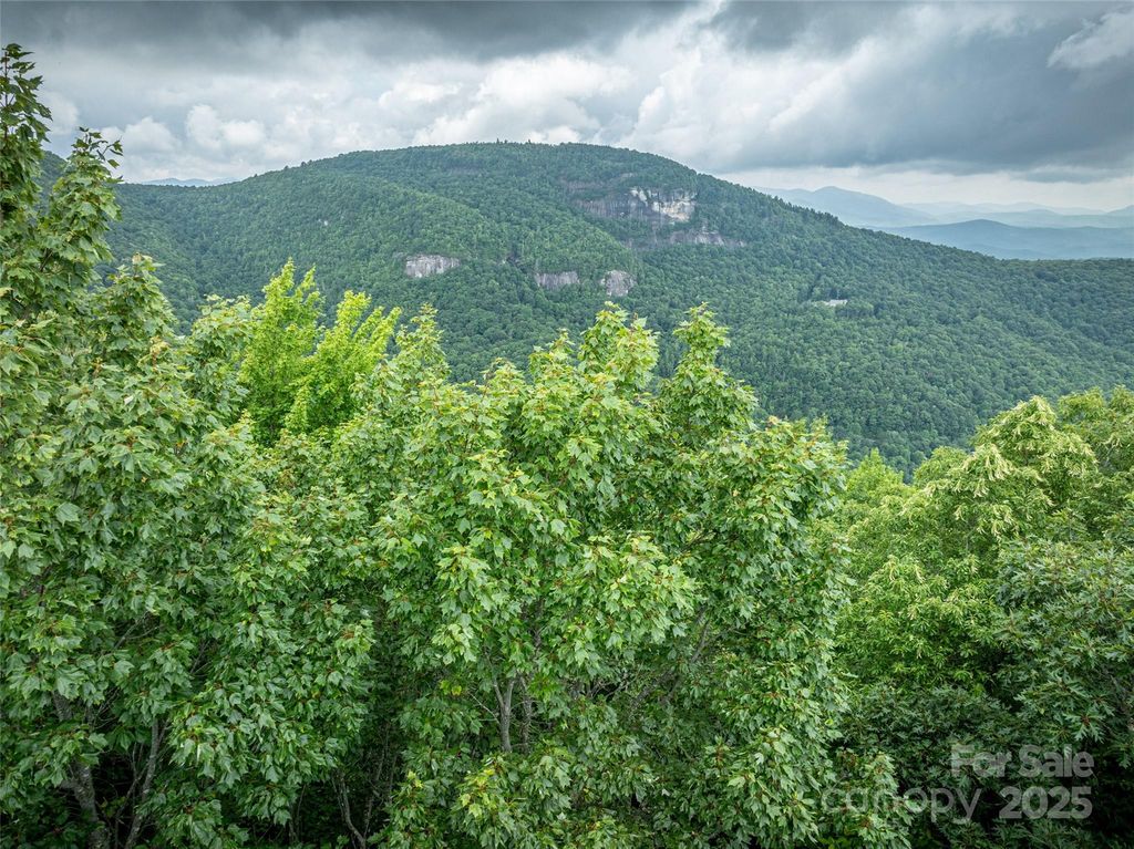 000 Meadow Ridge Drive L9, Lake Toxaway, NC 28747