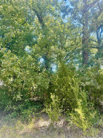 0 Longhorn Road, Mabank, TX 75156