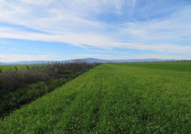 4790 Pacheco Pass Highway, Gilroy, CA 95020
