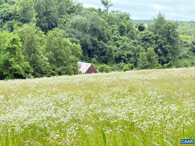1410 STEVENS COVE RD, Lovingston, VA 22949