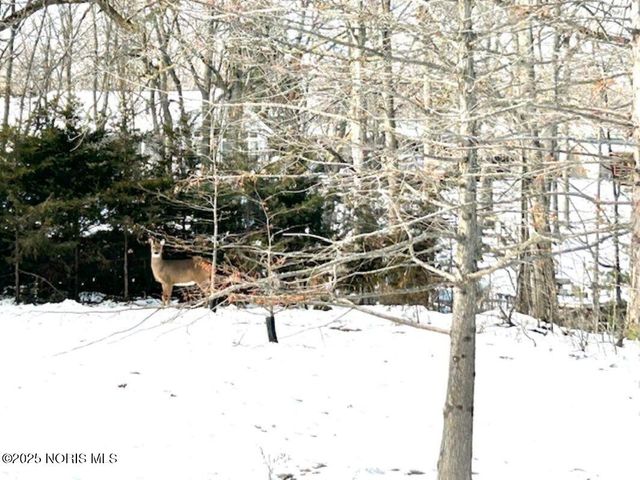 638 Seneca Drive, Montpelier, OH 43543