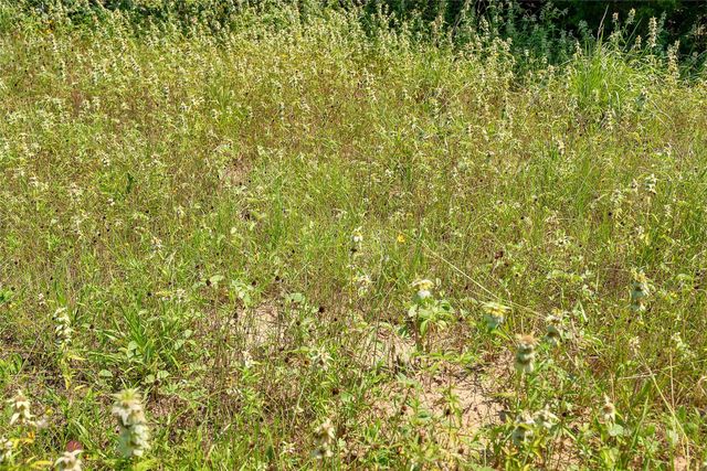 19231 County Road 215, Weimar, TX 78962