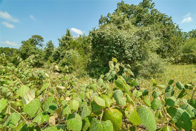 19231 County Road 215, Weimar, TX 78962