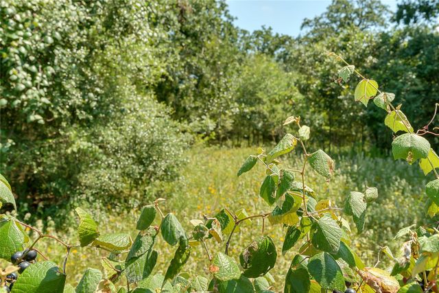 19231 County Road 215, Weimar, TX 78962