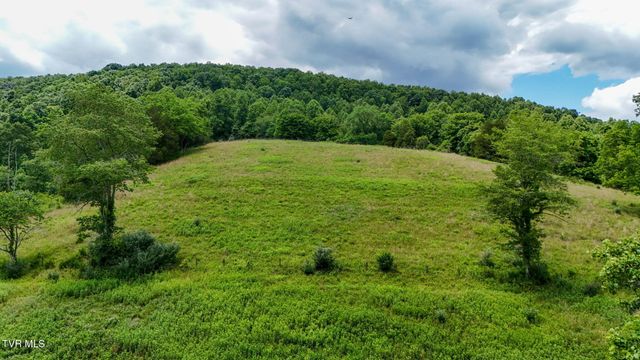 186 Gunport Drive, Duffield, VA 24244