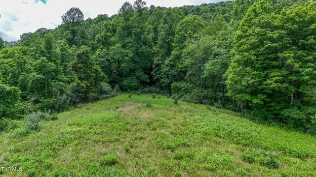 186 Gunport Drive, Duffield, VA 24244