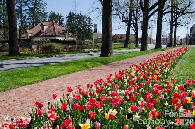 221 Summit Street, Asheville, NC 28803