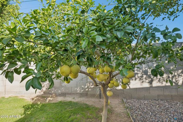 5735 N 11TH Street, Phoenix, AZ 85014