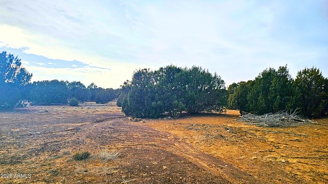 55 N COUNTRY Lane, Concho, AZ 85924