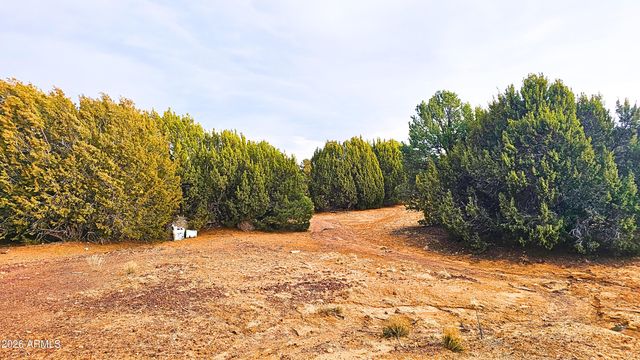 55 N COUNTRY Lane, Concho, AZ 85924